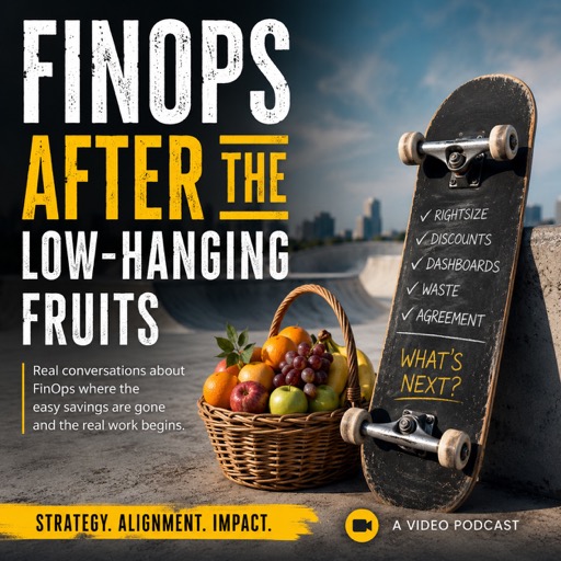 FinOps after the low hanging fruits artwork